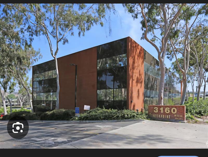 Bodyguard in sunglasses and black business woman