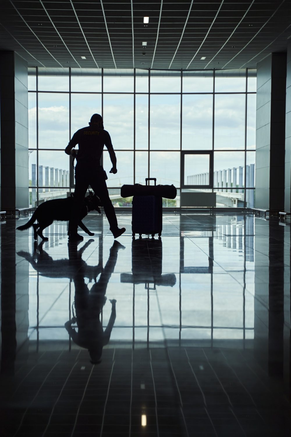 Security worker with detection dog checking luggage at airport